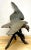 1960s Vintage Patinated Bronze Sculpture 'American Bald Eagle Upon Landing' For Sale - Image 9 of 13