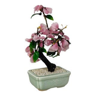 Vintage Mid-Century Flowering "Jade Tree" in Footed Celadon Pot - 10" For Sale