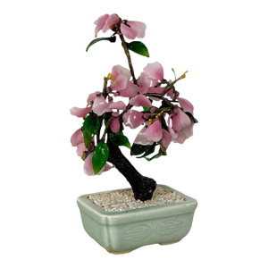 Vintage Mid-Century Flowering "Jade Tree" in Footed Celadon Pot - 10"