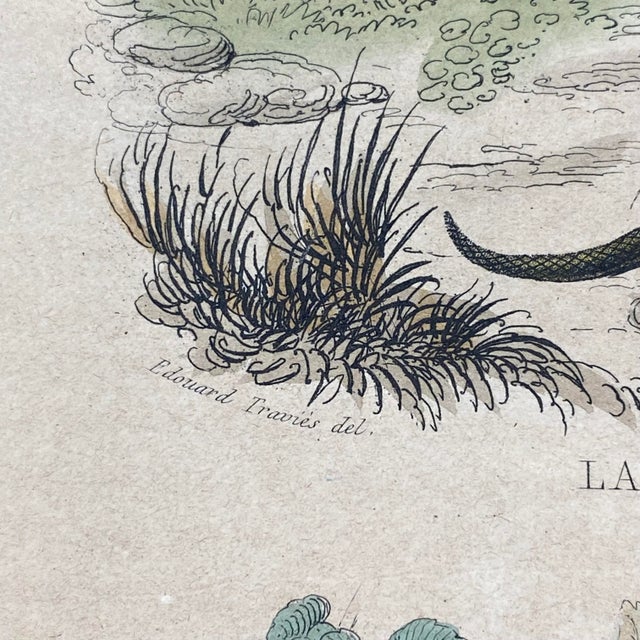 French Antique 18th Century "La Vipere Fer De Lance" Snake Engraving Hand Colored Signed Artwork For Sale - Image 9 of 11