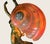 Art Nouveau Lady Nautilus Shell Lamp Circa 1900 For Sale - Image 9 of 12