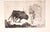 Riccardo Tommasi Ferroni, Corrida, 1960s, Etching For Sale