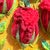 Framed 3d Stumpwork Textile Wall Art - Vintage Botanical Red Roses on Yellow For Sale - Image 16 of 16