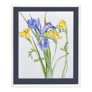 Iris & Yellow Freesia - Botanical Study by Deborah Eddy
