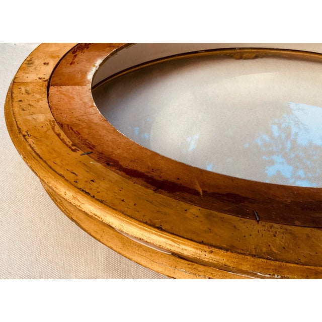 Magnificent French Empire Style Gilt Wood Oval Shadowbox Portrait Frame - The Shabbiest of Chic Elegance For Sale - Image 9 of 12