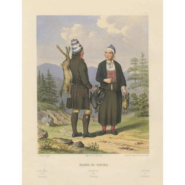 Traditional Dress from Surendal, 1800s For Sale - Image 6 of 10