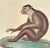 Illustration The Maimon, or Pig-Tailed Baboon - An Exceptional 18th-Century Natural History Engraving For Sale - Image 3 of 11
