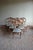 Antique Mahogany Dining Table with Chairs, 1800s, Set of 7 For Sale - Image 15 of 18