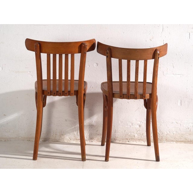 Bentwood Chairs in the style of Thonet, Central Europe, 1930, Set of 4 For Sale - Image 11 of 12