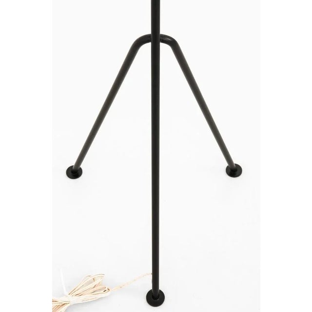 Floor Lamp Model G-33 Grasshopper by Greta Magnusson Grossman attributed to Bergbom, 1950s For Sale - Image 3 of 10