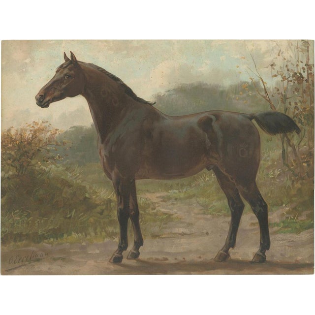 After Eerelman, Oldenburg Horse, 1898, Lithograph For Sale - Image 9 of 9