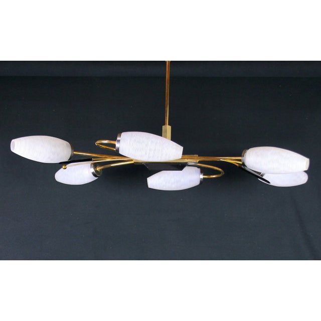 Maison Lunel, Brass Chandelier and Six Opalines Shades, Mid-Century France For Sale - Image 6 of 7
