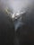 Whisper of Light 2 by Dave Santillanes | Oil on panel depicting a misty waterfall scene. For Sale