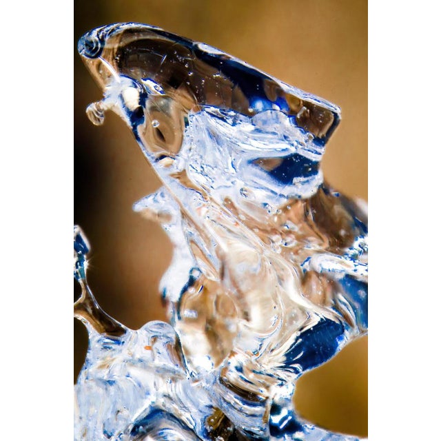 Marko Milić, Leo, Abstract Photography For Sale - Image 4 of 6