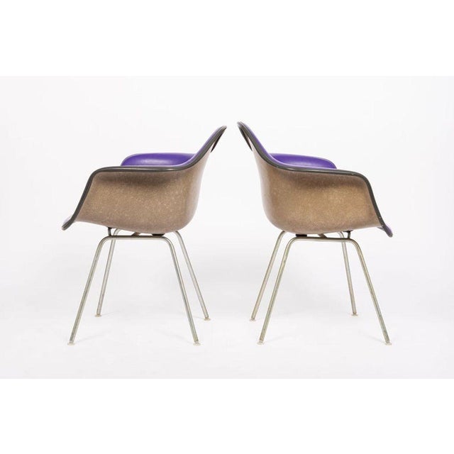 Herman Miller Mid Century Purple Dax Lounge Chairs by Eames for Herman Miller, 1960s For Sale - Image 4 of 14