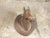 Victorian English Victorian 19th Century Terracotta Horse Head with Greek Key Frieze For Sale - Image 3 of 9