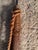 Wood Vintage Nautical Harpoon From Johnson & Joseph Co. For Sale - Image 7 of 10
