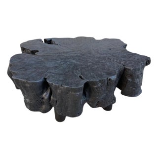 Andrianna Shamaris Charred Amorphous Coffee Table For Sale