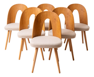 Mid-Century Dining Chairs by Antonín Šuman, 1960s, Set of 6