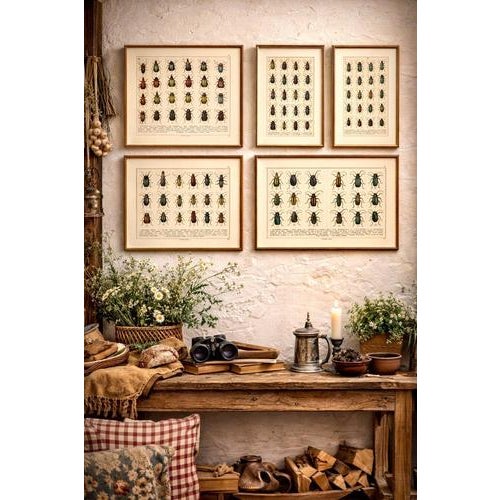 Calwer, Longhorn Beetles, European Cerambycidae, 1893, Chromolithographs, Set of 4 For Sale - Image 6 of 9