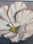 Jacqueline Wakelee Blooming Flower, Signed For Sale In San Francisco - Image 6 of 12