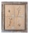 Herbarium, Paper, Framed For Sale