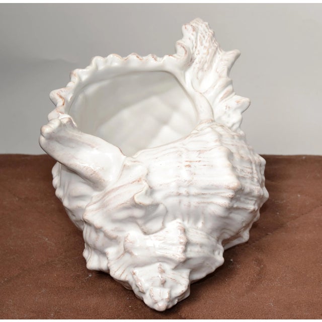 Italian Regency glazed Terra Cotta white brown Sea Shell Planter or Table Sculpture. Coastal Decoration with beautiful...