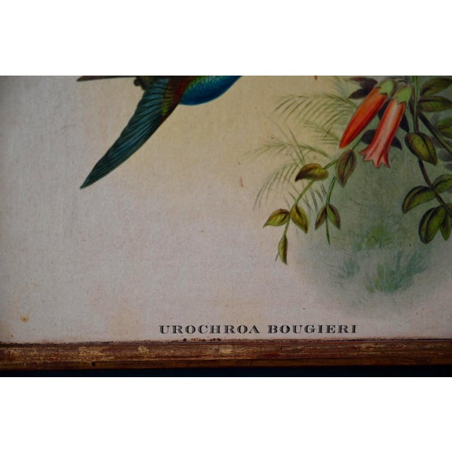 Victorian Screen with Birds and Roses, 1940s For Sale - Image 12 of 18