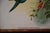 Victorian Screen with Birds and Roses, 1940s For Sale - Image 12 of 18