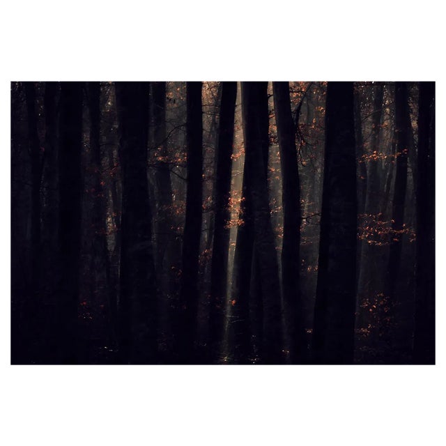 Jaume Llorens, Deep Inside III #12, 2018, Photographic Print For Sale