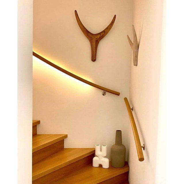 Medium Nguni Head Black Iroko, Animal Head Wall Sculpture, Clear / Natural For Sale - Image 4 of 9