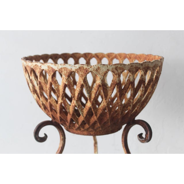 Rustic Vintage Cast Iron Rustic Basket Style Plant Stand Patina Mid-Century For Sale - Image 3 of 10