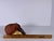 Victorian Taxidermy Bovine Hoof Pincushion For Sale - Image 9 of 9