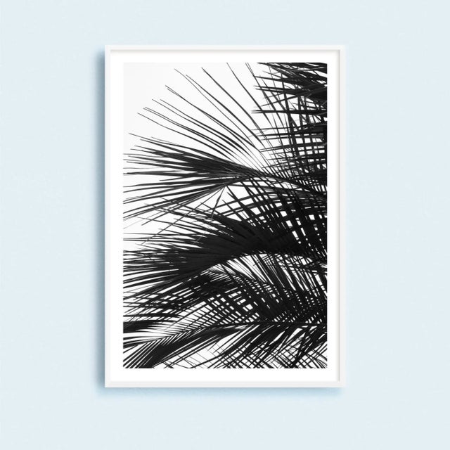 Contemporary Minimalist Palm Tree Art Print, Large Tropical Coastal Wall Art, Black and White 24 X 36" Photography Print, 'Palm Fronds' For Sale - Image 9 of 9