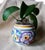 Ceramic 1930s Poole Pottery Posie Pot Traditional Pattern - Truda Carter Design - Clarice Heath Cliff Paintress For Sale - Image 7 of 9