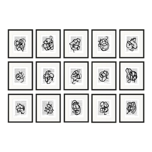 "Black & White Abstractions Series (3)" Framed Gallery Wall Art Prints Installation by Diane Grant - Set of 15