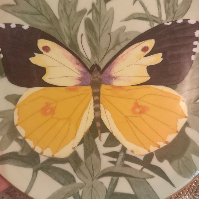 Illustration 1970s Stanley Galli Butterfly Decorative Plate With Gold Trim For Sale - Image 3 of 5
