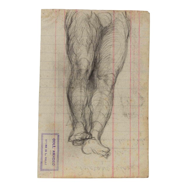 Luigi Galli, Nude, Anatomical Studies, Late 19th Century, Pencil on Paper For Sale