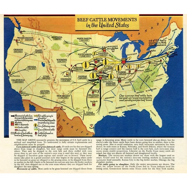 Illustration 1933 Beef Cattle Movements in the United States Original Vintage Map For Sale - Image 3 of 3
