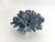 Shell Natural Blue Coral Specimen Coastal Decor For Sale - Image 7 of 8