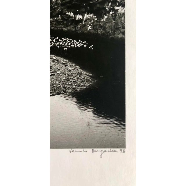 Realism Fernando Bengoechea Signed Original Photographic Print, “Scotland” For Sale - Image 3 of 7