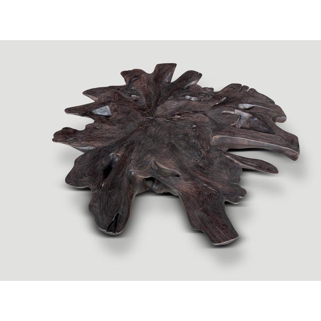 Contemporary Andrianna Shamaris Impressive Sculptural Teak Wood Root Coffee Table For Sale - Image 3 of 18