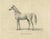 August Jäger, Horse Bairaktar, 1846, Paper Lithograph For Sale
