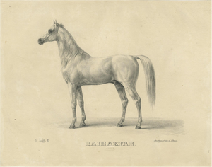 August Jäger, Horse Bairaktar, 1846, Paper Lithograph