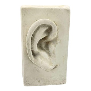 Plaster Cast of Ear For Sale