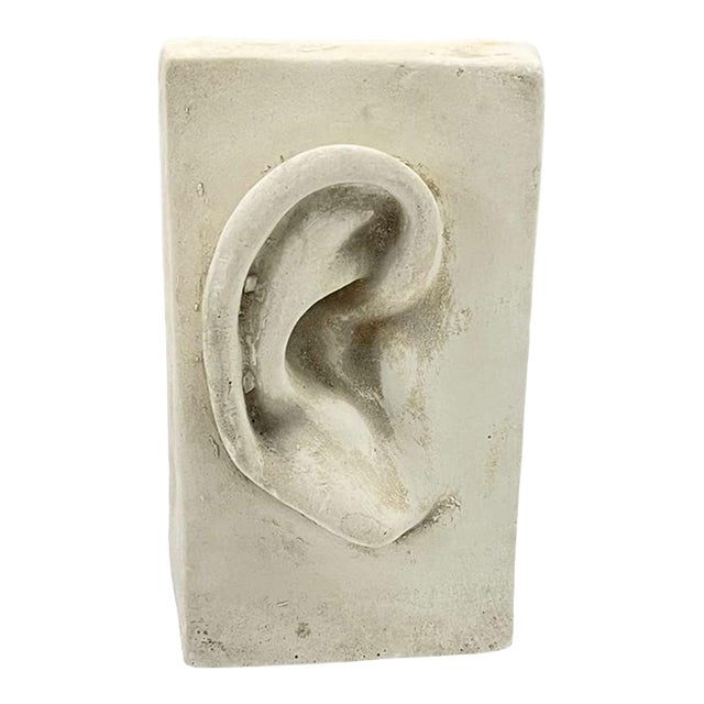 Plaster Cast of Ear For Sale
