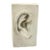 Plaster Cast of Ear For Sale