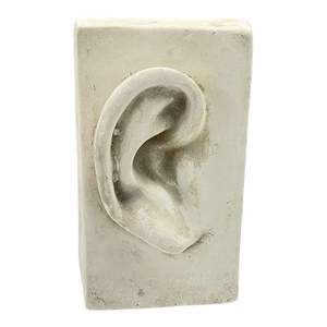 Plaster Cast of Ear