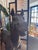 Monumental Bronze Horse Sculpture For Sale In San Francisco - Image 6 of 13