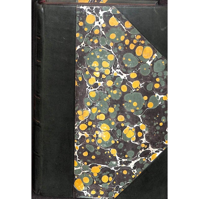 Young Men in Spats For Sale In New York - Image 6 of 6